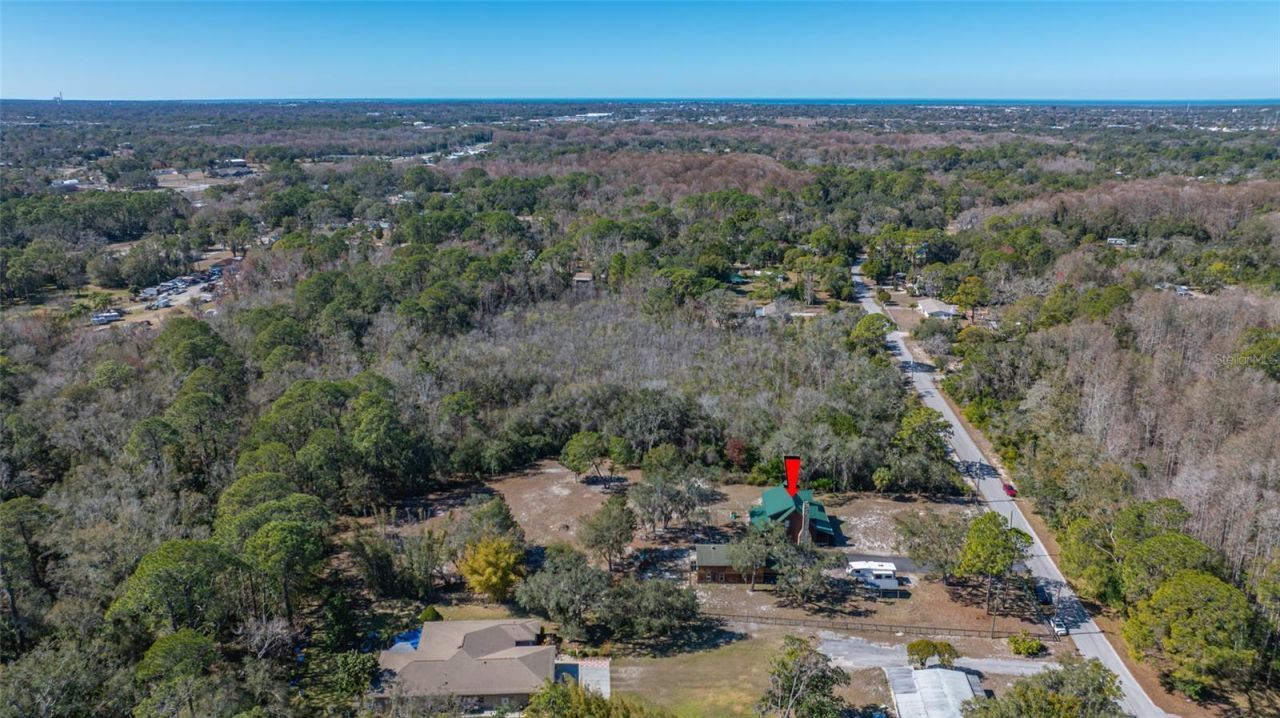 9802 Royal Palm Avenue, New Port Richey, FL 34654 Photo