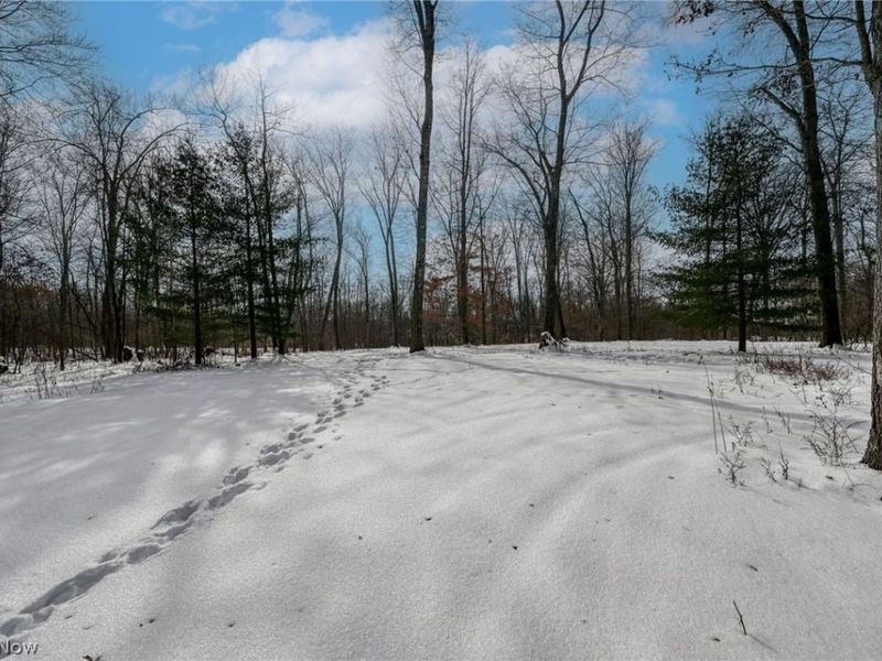 3366 Hommon Road, Ravenna, OH 44266 Photo 43