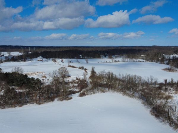 TBD Bordman Road, Unit TBD, Leonard, MI 48367