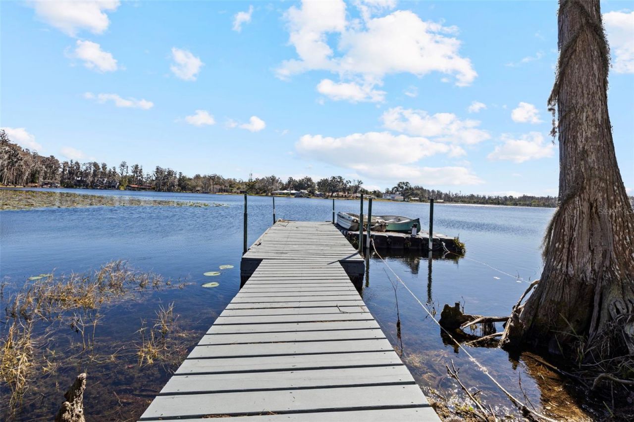 18991 Crooked Lane, Lutz, FL 33548 Photo