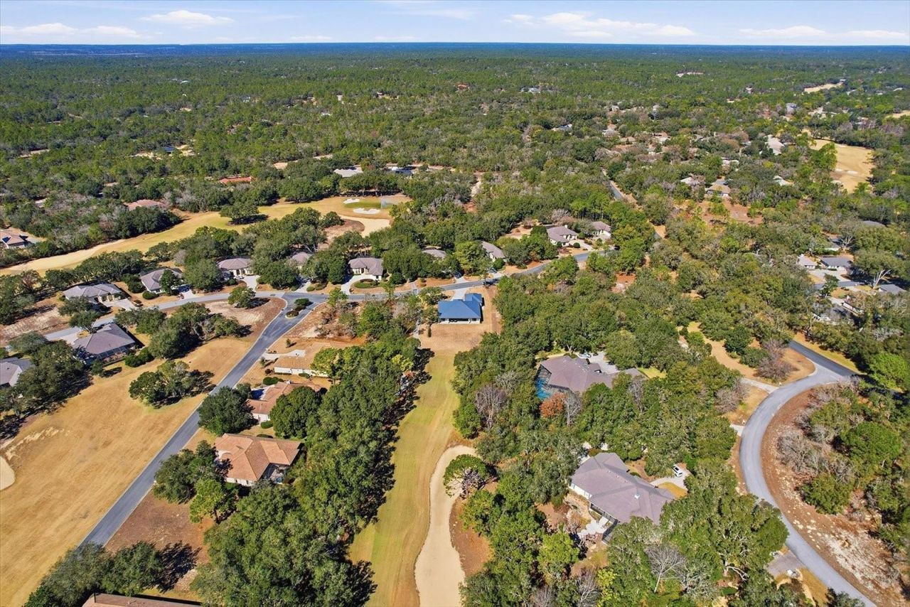 2815 N Prestwick Way, Lecanto, FL 34461 Photo