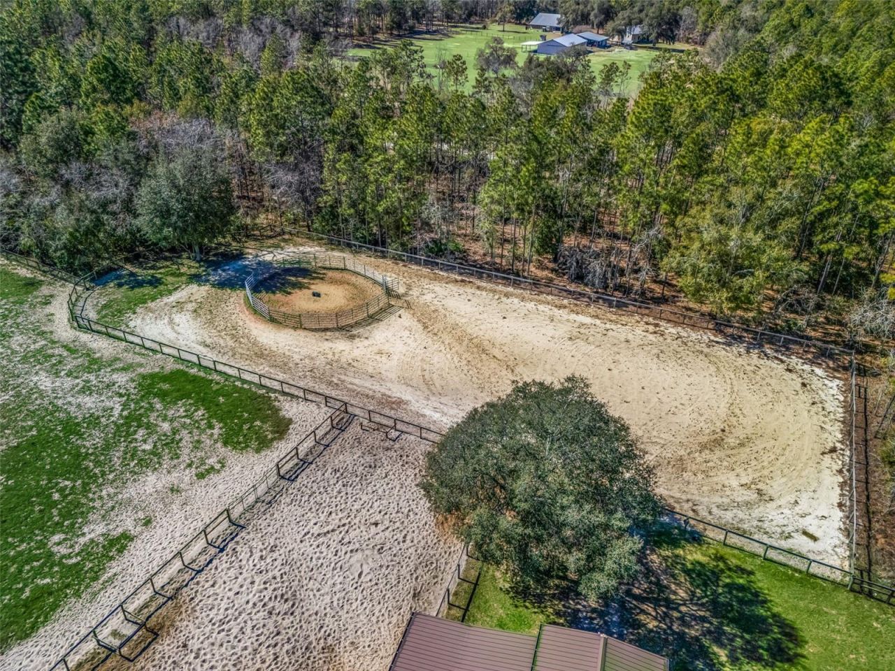 11670 SE 6th Street, Williston, FL 32696 Photo