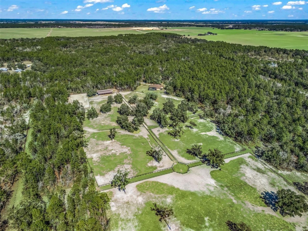 11670 SE 6th Street, Williston, FL 32696 Photo