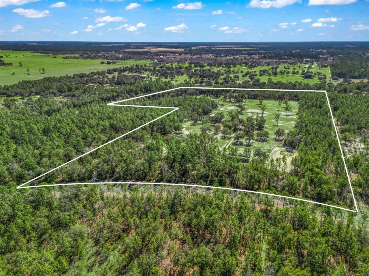 11670 SE 6th Street, Williston, FL 32696 Photo