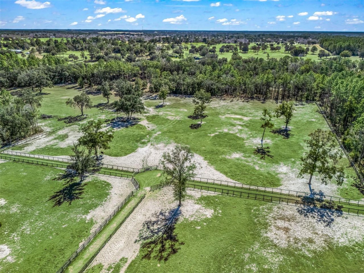 11670 SE 6th Street, Williston, FL 32696 Photo