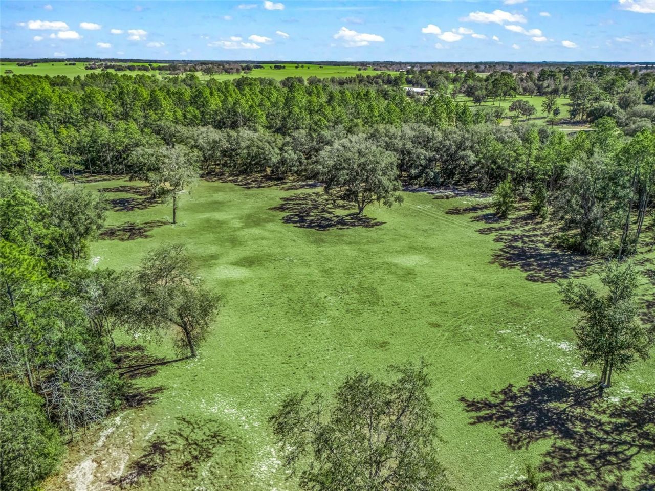 11670 SE 6th Street, Williston, FL 32696 Photo