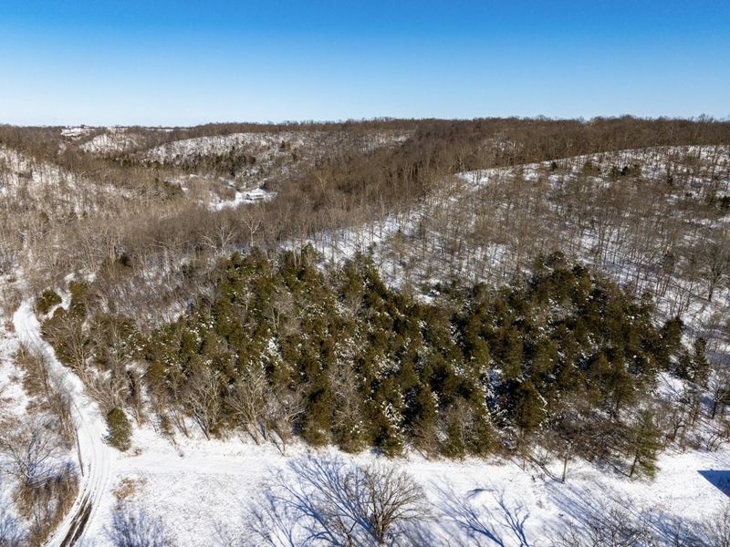 0 Lockmier 12+/- Acres Road, Augusta, KY 41002 Photo 3