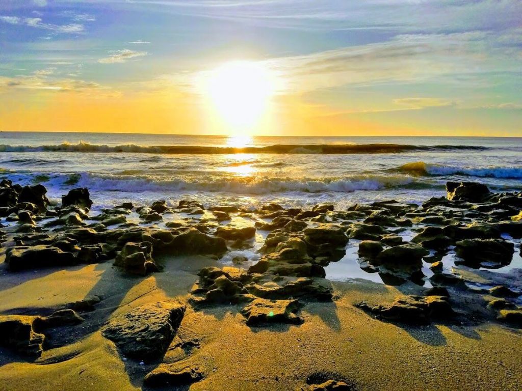 163 Spoonbill Court, Jupiter, FL 33458 Photo