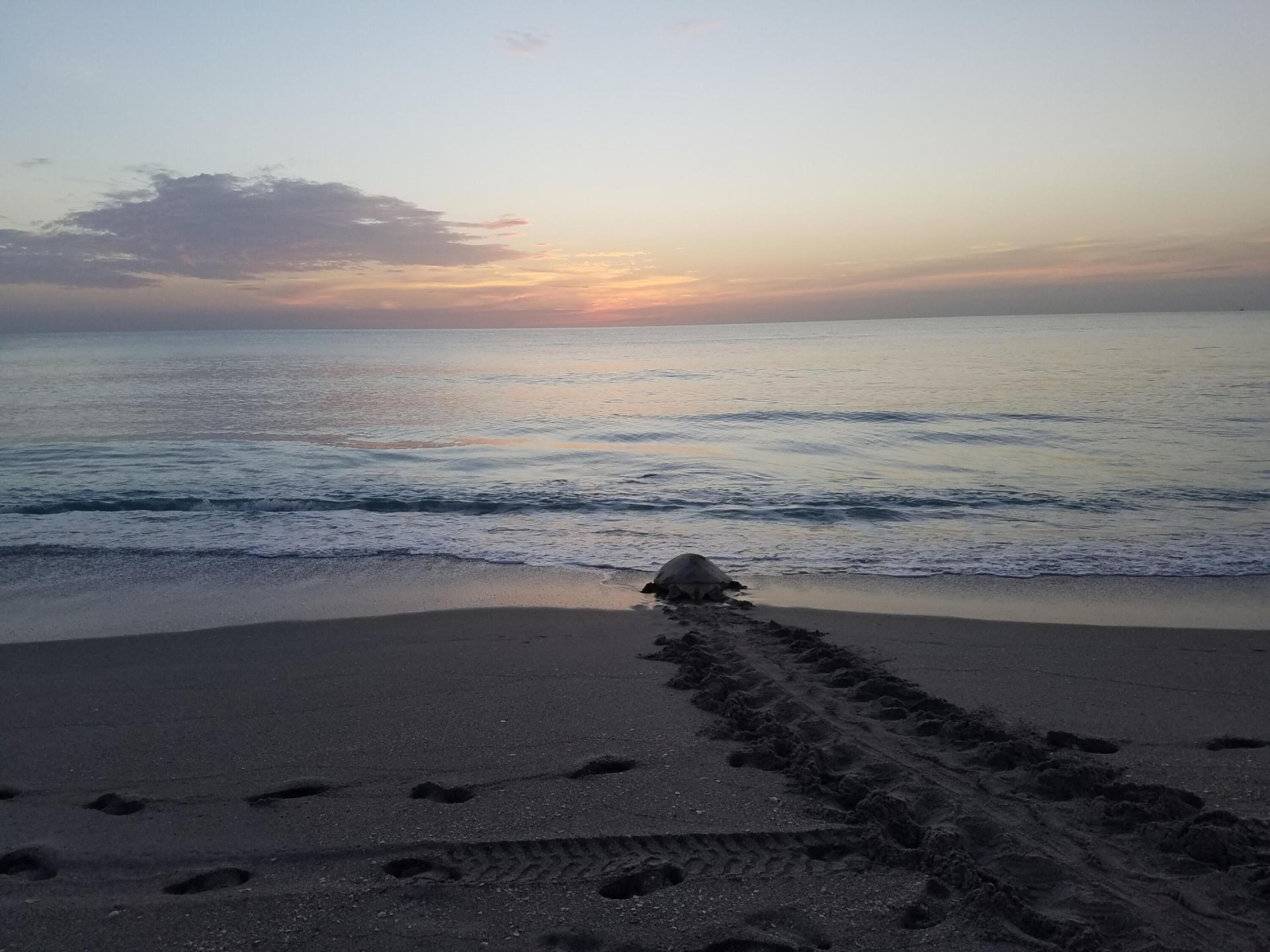 163 Spoonbill Court, Jupiter, FL 33458 Photo