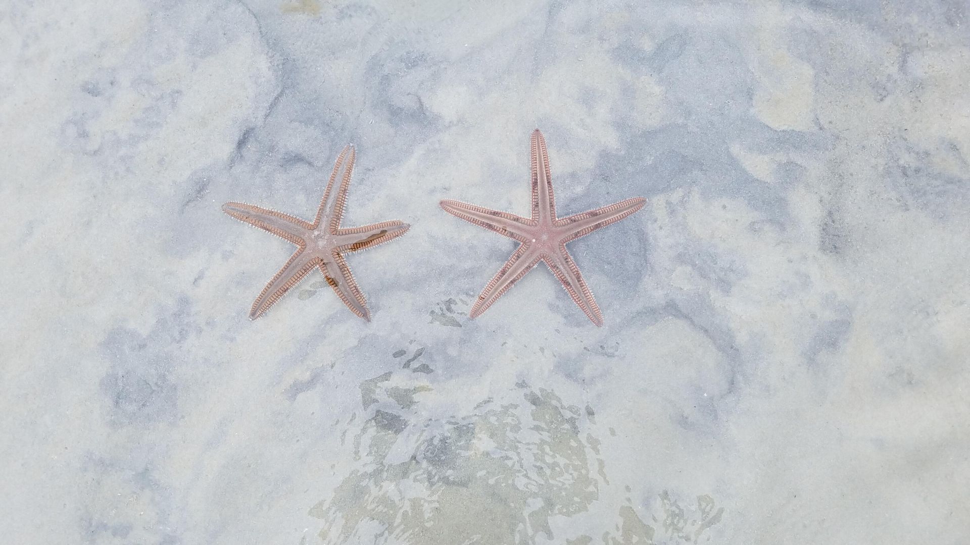 163 Spoonbill Court, Jupiter, FL 33458 Photo