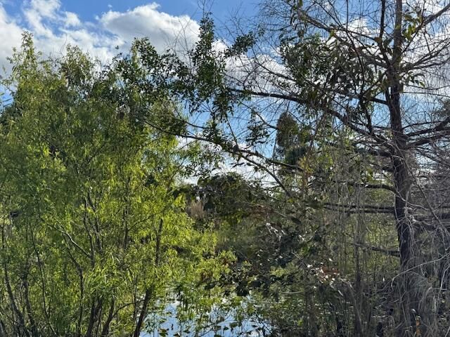 3852 161st Terrace N, Loxahatchee Groves, FL 33470 Photo