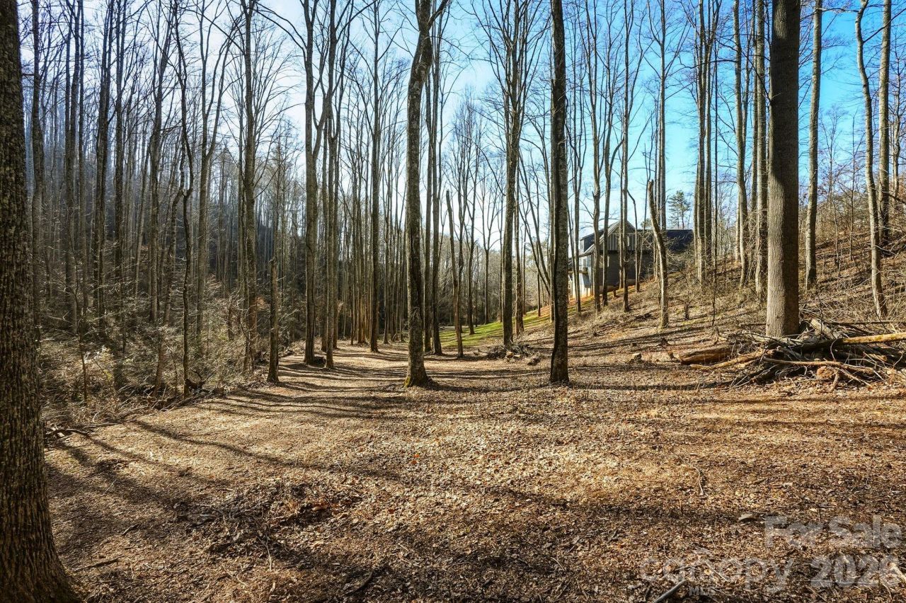67 Bamboo Trail, Candler, NC 28715 Main Photo
