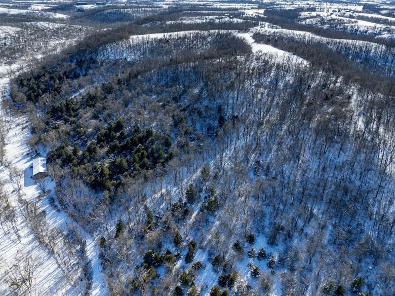 0 Lockmier 57+/- Acres Road, Augusta, KY 41002 Photo 4