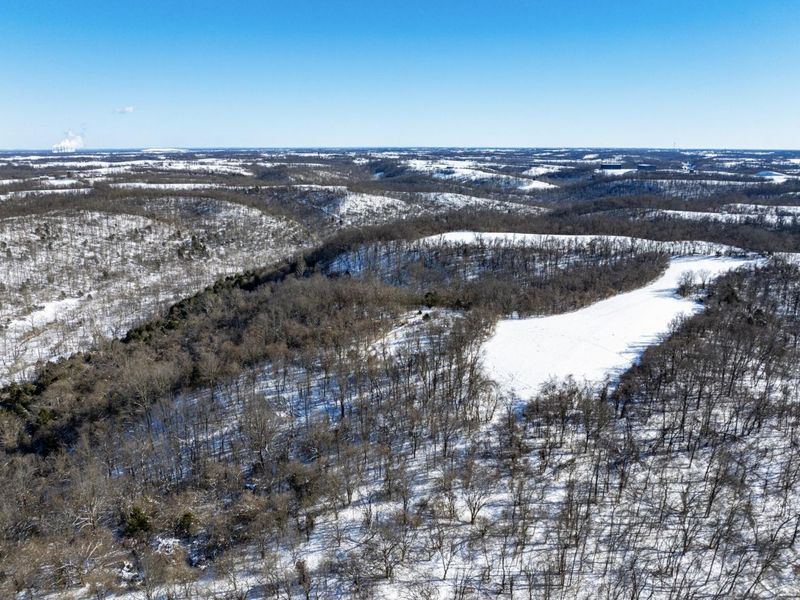 0 Lockmier 57+/- Acres Road, Augusta, KY 41002 Photo 5