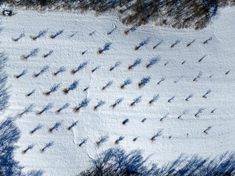 0 Lockmier 57+/- Acres Road, Augusta, KY 41002 Photo 6