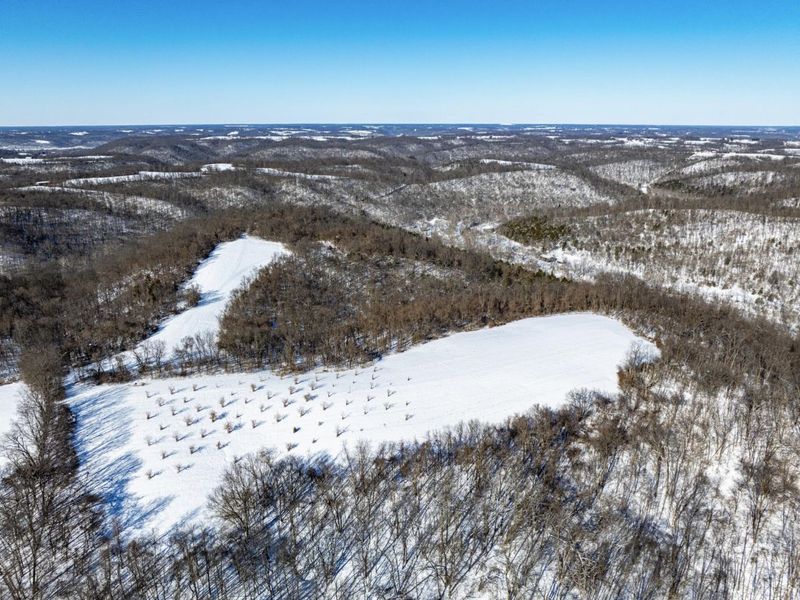 0 Lockmier 57+/- Acres Road, Augusta, KY 41002 Photo 8