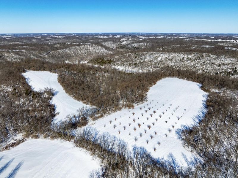 0 Lockmier 57+/- Acres Road, Augusta, KY 41002 Photo 9