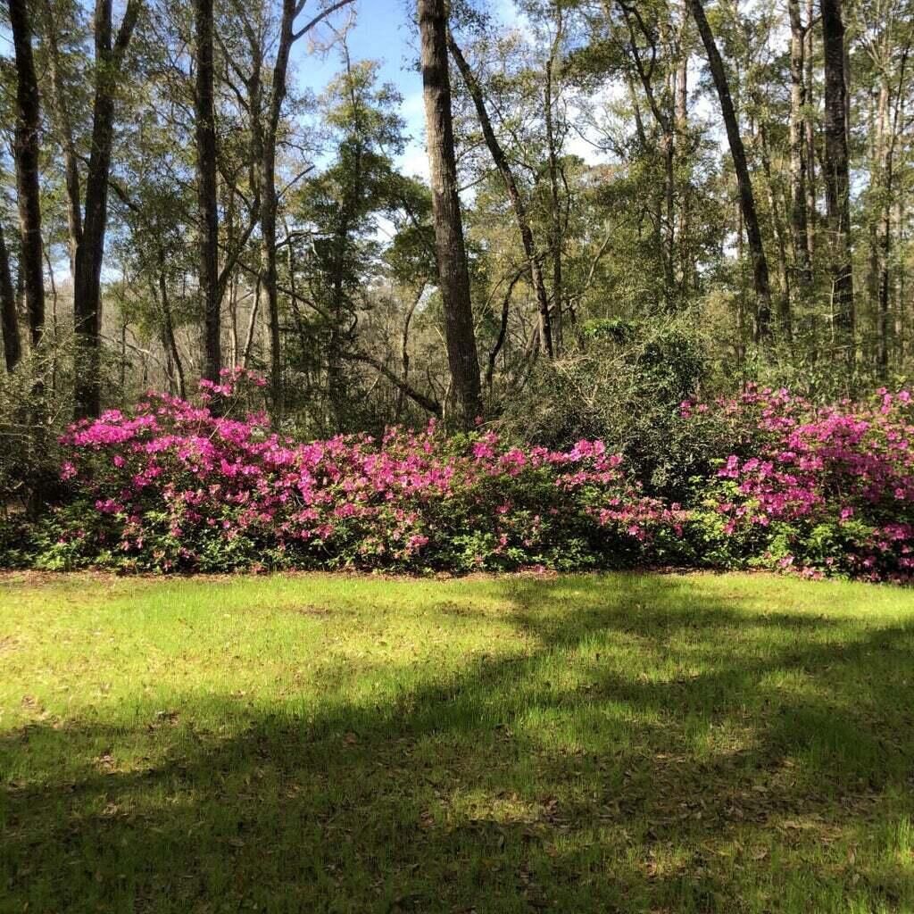 4150 Nature View Circle Photo 53