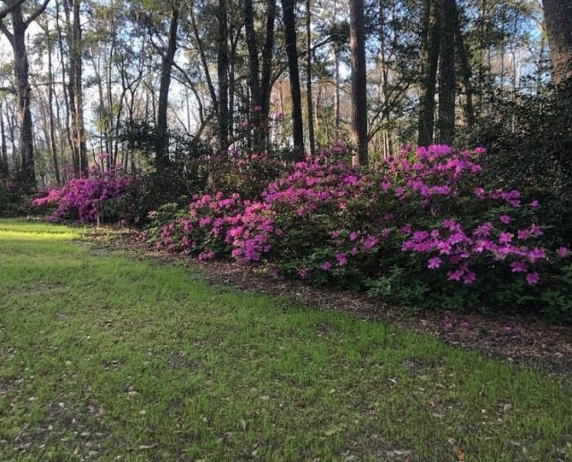 4150 Nature View Circle Photo 54