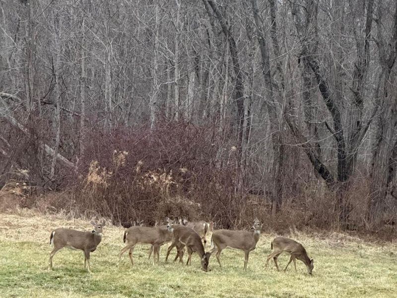 5060 Wheeling Road NE, Lancaster, OH 43130 Photo 2