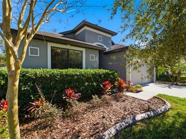 8328 AUBURN RISE COURT, LAND O LAKES, FL 34638