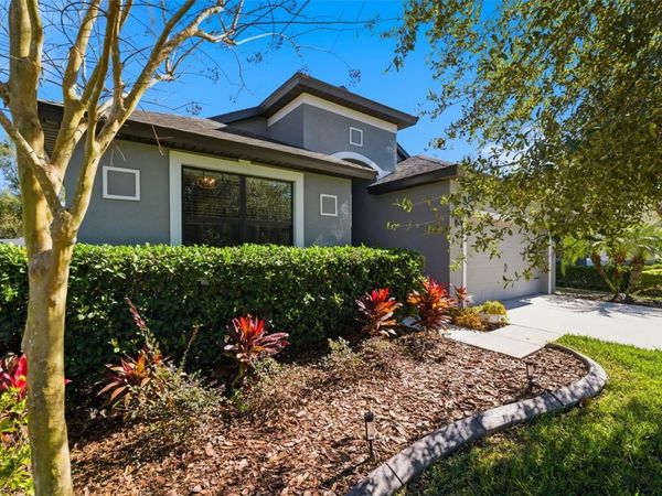 8328 AUBURN RISE COURT, LAND O LAKES, FL 34638