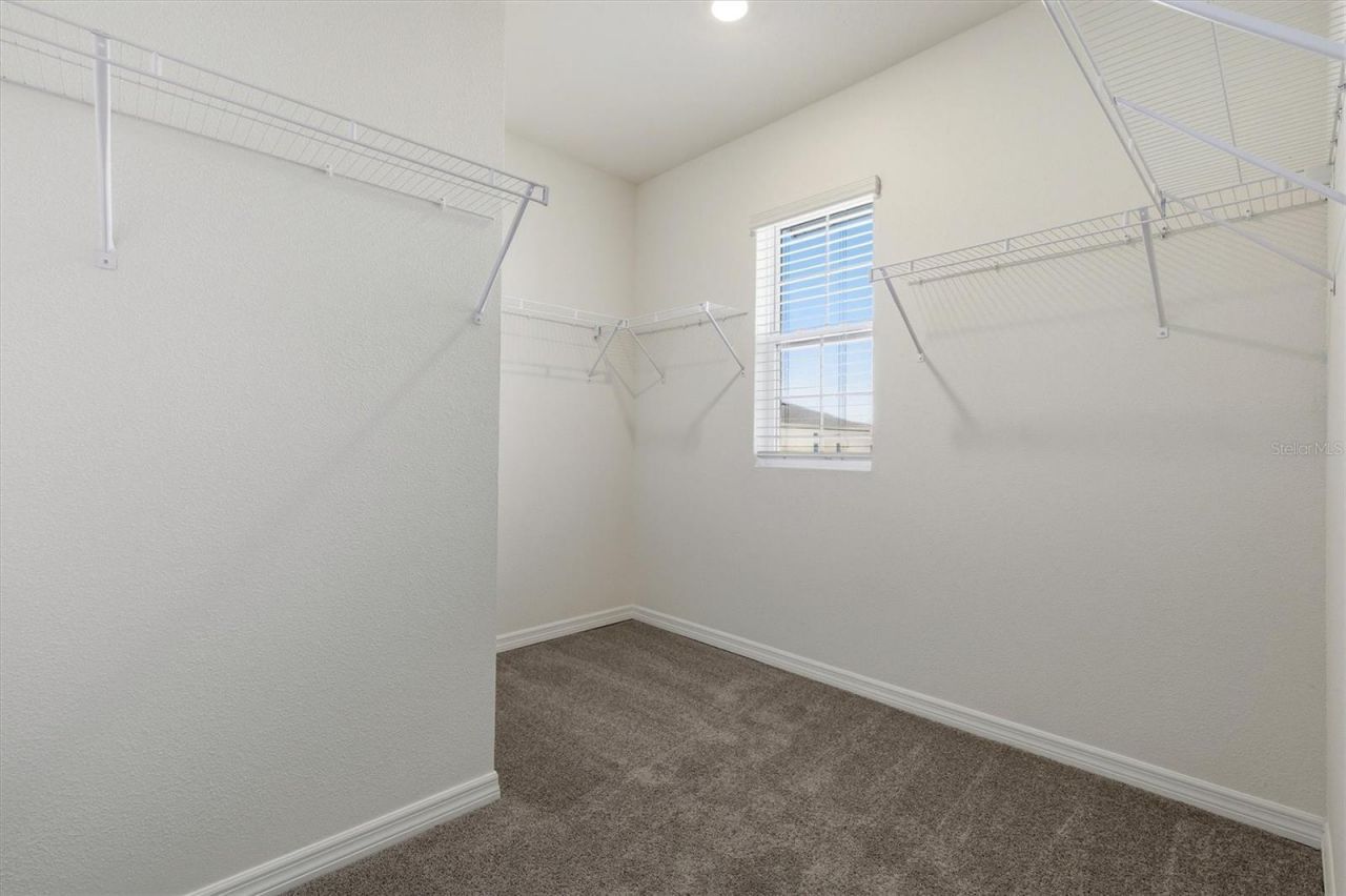 5764 Hollingworth Trail, Wesley Chapel, FL 33545 Photo