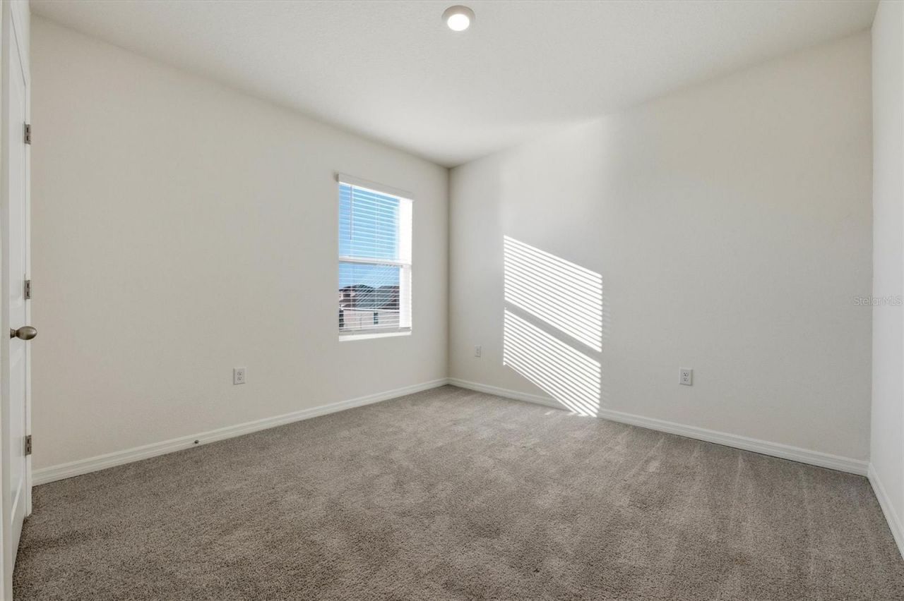 5764 Hollingworth Trail, Wesley Chapel, FL 33545 Photo