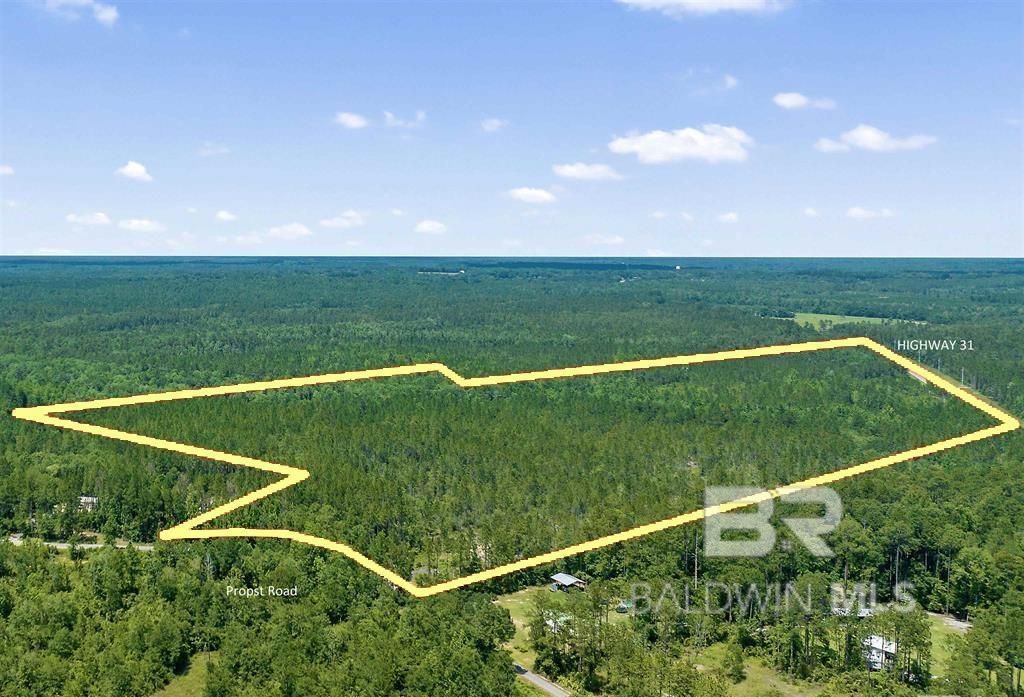 51290 Propst Road, Bay Minette, AL 36507 Main Photo