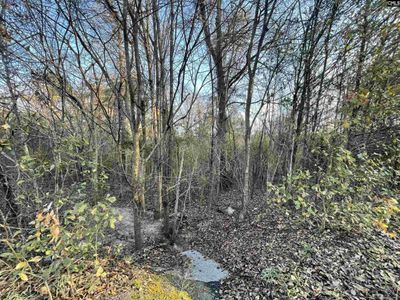 Lot 6-C Forest Circle, New Ellenton, SC 29809