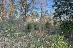 Lot 6-c Forest Circle photo 4