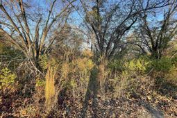 Lot 6-c Forest Circle photo 4