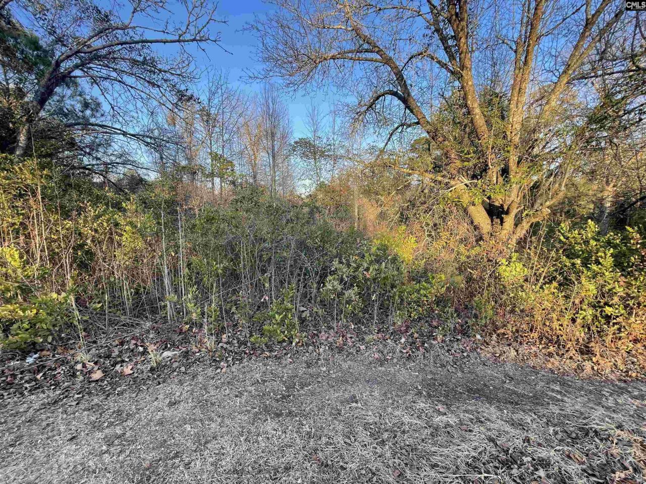 Lot 6-c Forest Circle Photo 4