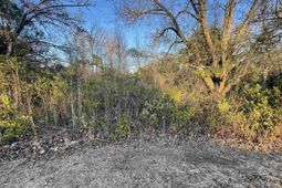 Lot 6-c Forest Circle photo 4