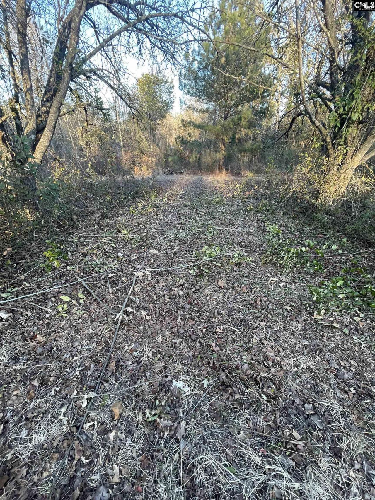 Lot 6-c Forest Circle Photo 5