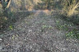 Lot 6-c Forest Circle photo 4