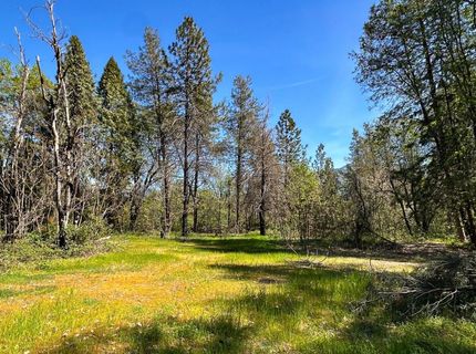 21138 Big Oak Ln, Lakehead, CA 96051 Photo