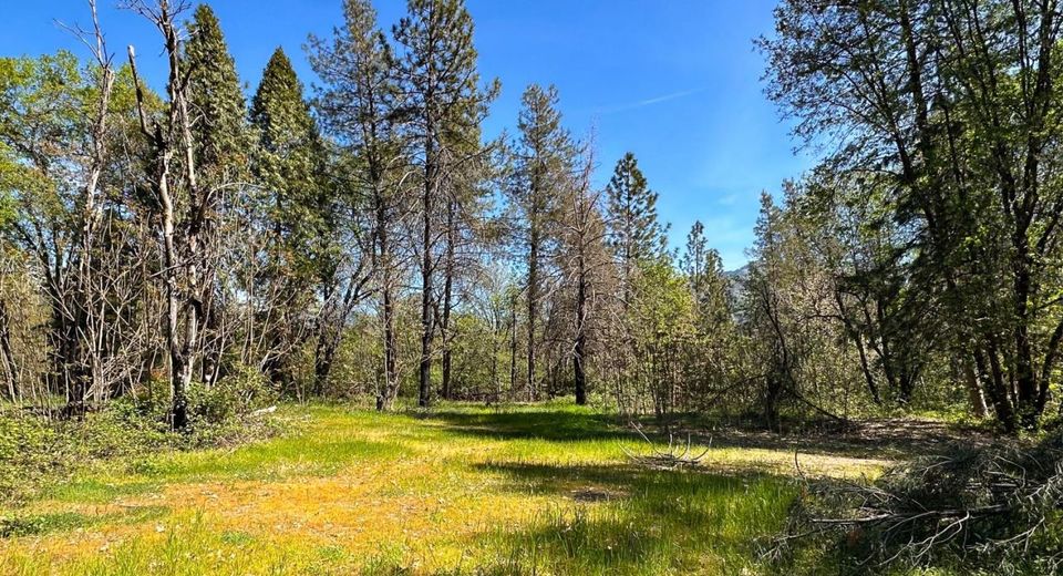 21138 Big Oak Ln, Lakehead, CA 96051 Photo