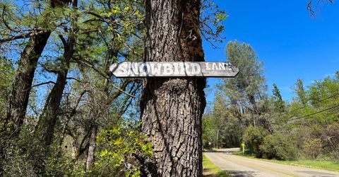 21138 Big Oak Ln, Lakehead, CA 96051 Photo