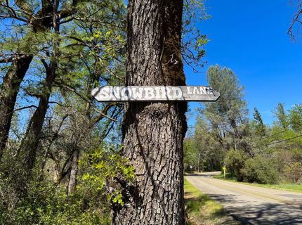 21138 Big Oak Ln, Lakehead, CA 96051 Photo