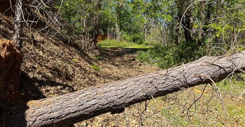 21138 Big Oak Ln, Lakehead, CA 96051 Photo