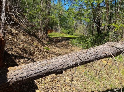 21138 Big Oak Ln, Lakehead, CA 96051 Photo