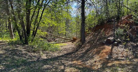 21138 Big Oak Ln, Lakehead, CA 96051 Photo