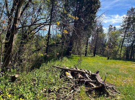 21138 Big Oak Ln, Lakehead, CA 96051 Photo