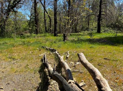 21138 Big Oak Ln, Lakehead, CA 96051 Photo