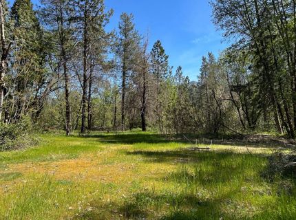 21138 Big Oak Ln, Lakehead, CA 96051 Photo