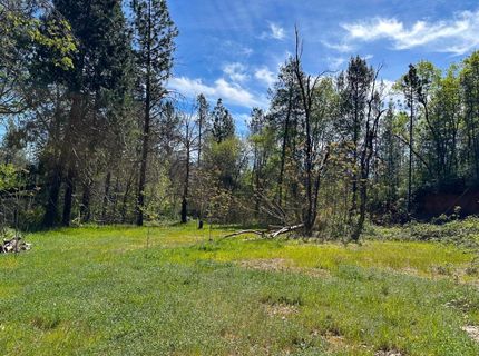 21138 Big Oak Ln, Lakehead, CA 96051 Photo