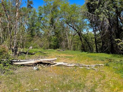 21138 Big Oak Ln, Lakehead, CA 96051 Photo