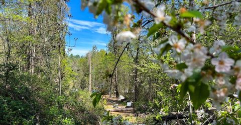 21138 Big Oak Ln, Lakehead, CA 96051 Photo