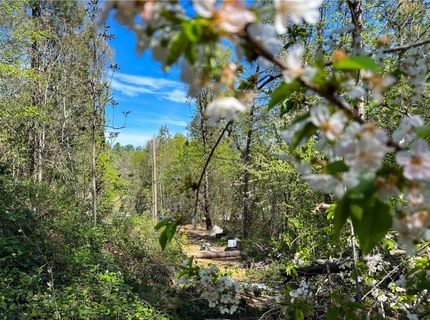 21138 Big Oak Ln, Lakehead, CA 96051 Photo